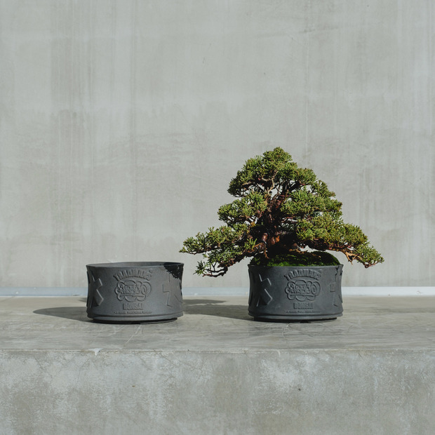 ERIC HAZE&times;TRADMAN&rsquo;S BONSAI  -POT- 詳細画像